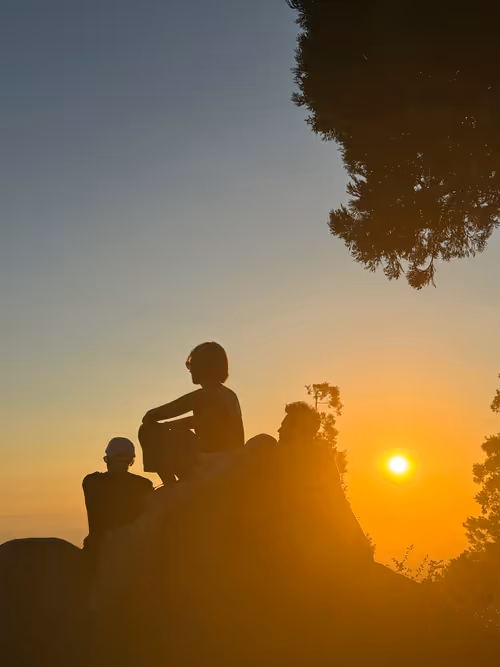 Item #21 Media