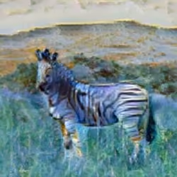 Zebra on Zora 3/10000