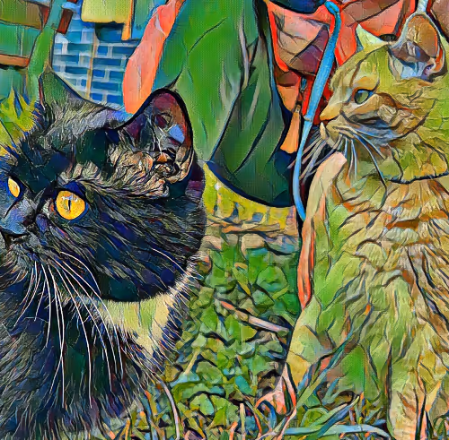 WorldCats