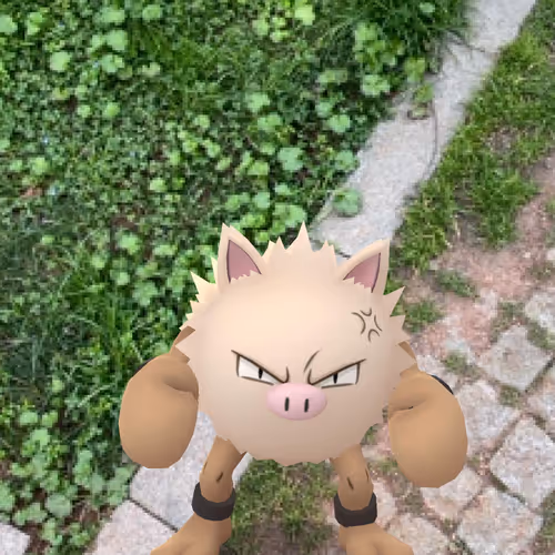 pidgey