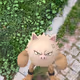pidgey