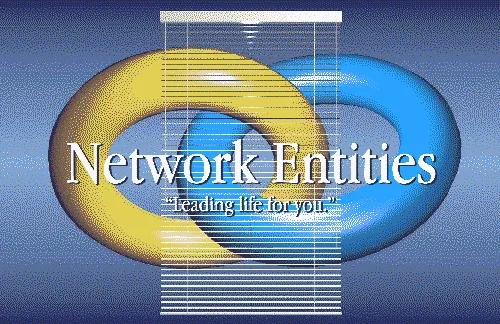 Network Entities®