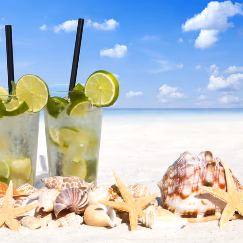 Summer enjoy