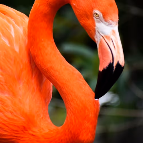 inspiring nature