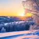 Frosted Sunrise Over a Winter Wonderland