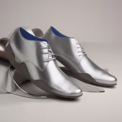 Footwear Modern
