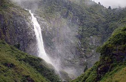 Types of flora and fauna in Southeast Asia
