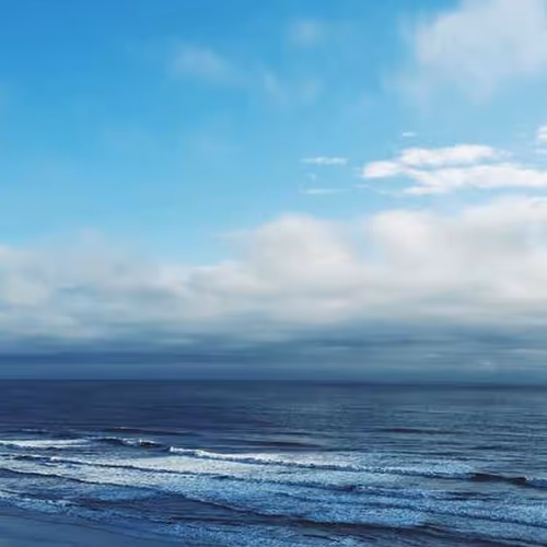 Pull Wales Promising