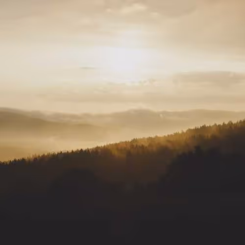 Alone Warranties Commodity