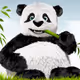 ZPanda