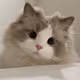 Mida