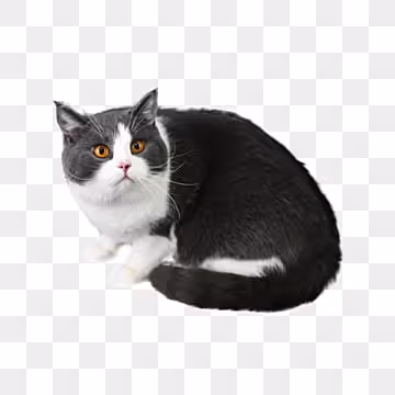 0x2cc46fb73440620048b22937b486c998797baed2