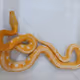 Psnake