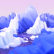 Base mountains