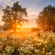 late summer