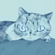 Meow