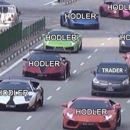 HODL THE ALTS