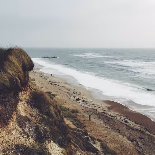 Egg Statutory Journalism