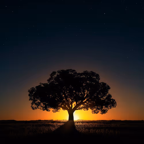 Tree Sunrise