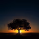 Tree Sunrise