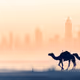 $enjoy two camels