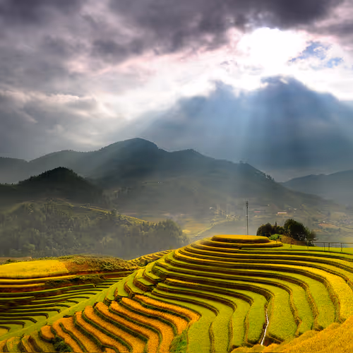 Que huong toi