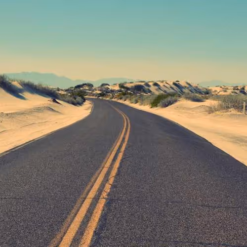 Rapids Perspective Florist