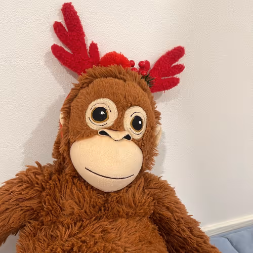 EnJoY santa Monkey