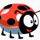 ladybug drop