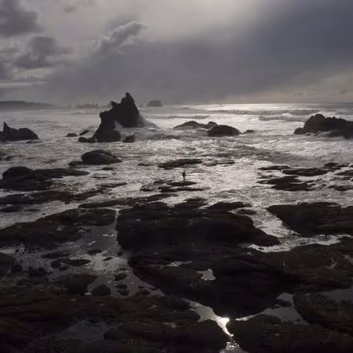 Hereby Wooden Searches