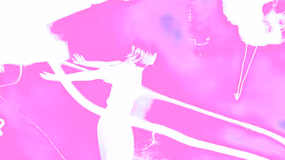 Zora Posts