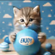 Baby cat_Enjoy