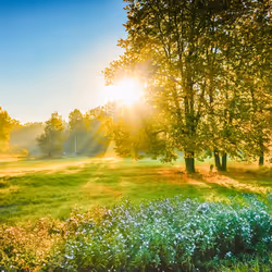 Sunny day