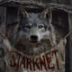 Starknet