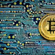 NFTcryptologia