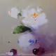 Vase and cherry best choice 4