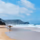 SURFER
