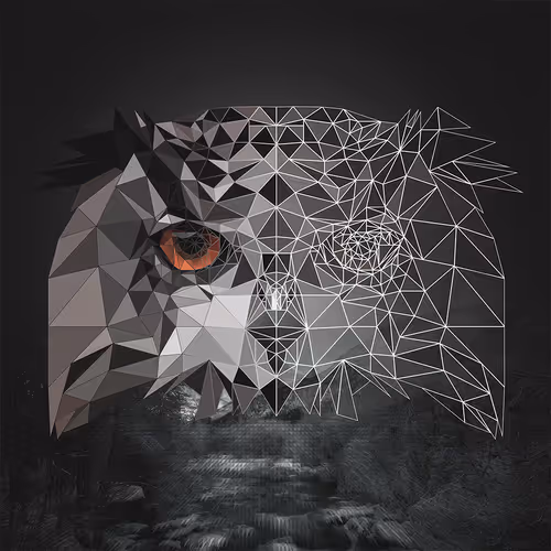 Geometric Owl