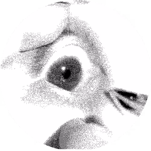 Pit Of Despair - Glitch Works