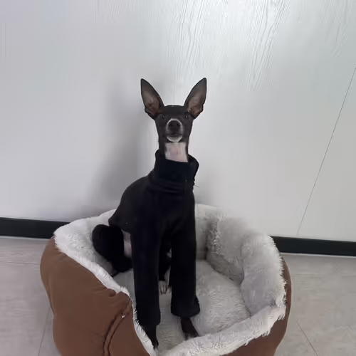 his name cookie