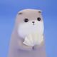 rakko
