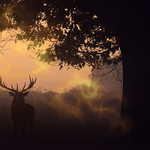 The Horned God Collection