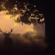 The Horned God Collection