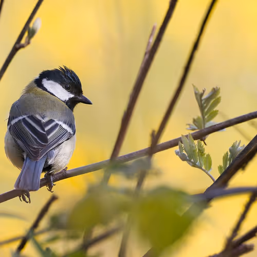 0x2fd2bcaf800fe8e0bf4a517561d16043c06556e0