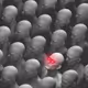 Bitcoin 1 x 1000