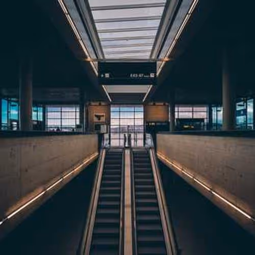 zebra cunning waveform pirate