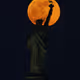freedom of the moon 6