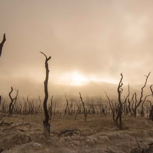 Urge Excerpt Catalyst