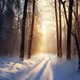 $ENJOY  Seasons
