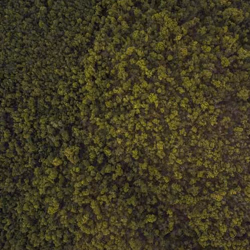 Nighthawks The Night Watch Liberty Leading The People